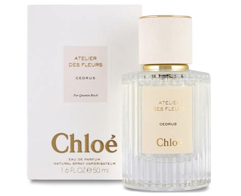 cedrus chloe